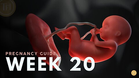 What to Expect at Week 20 | Week by Week Pregnancy Guide