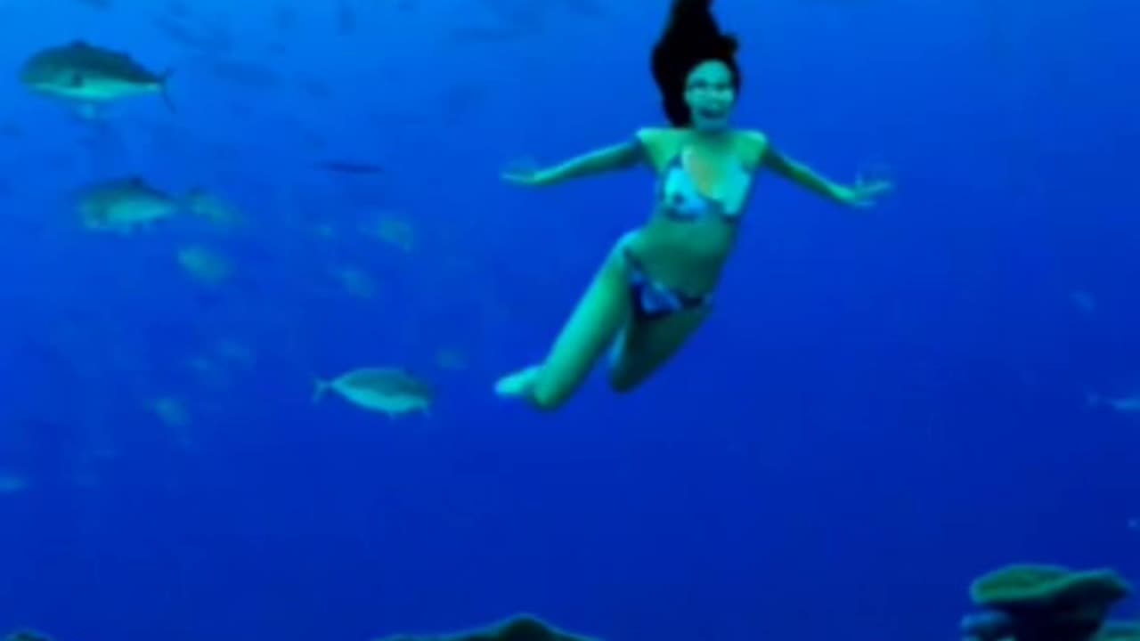 The big shark