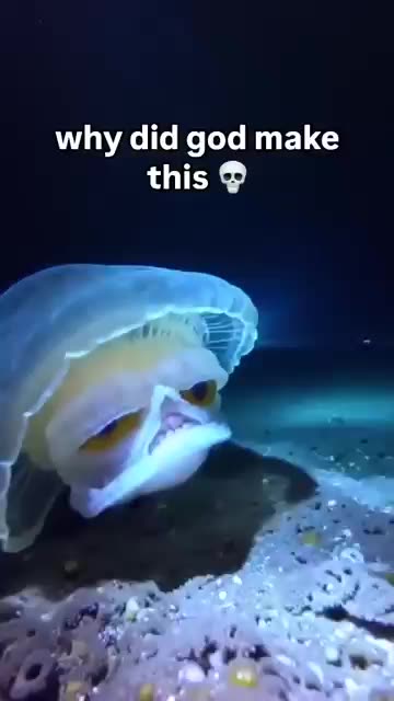 The Big Guy Was TRIPPIN 😂