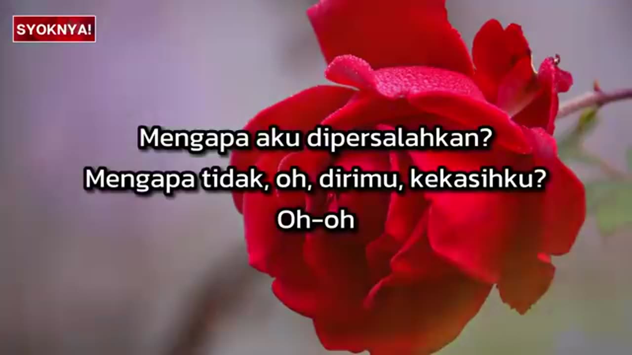 a memory that misses by spoon liric