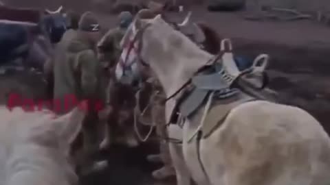 Russian Soldiers Openly Contemplating Charging Ukrainian Lines On Horseback