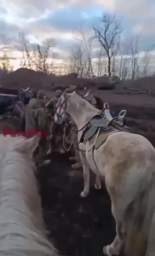 Russian Soldiers Openly Contemplating Charging Ukrainian Lines On Horseback