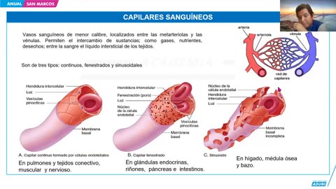 ANUAL ADUNI 2024 | Semana 30 | Biología | Física