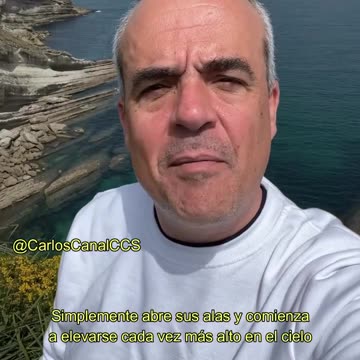 El águila y el cuervo - Carlos Canal