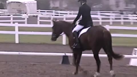June 6-8, 2003 - Footage from the Indiana Dressage Classic (Horses)