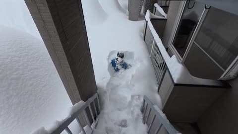 Record Snowfall In Japan