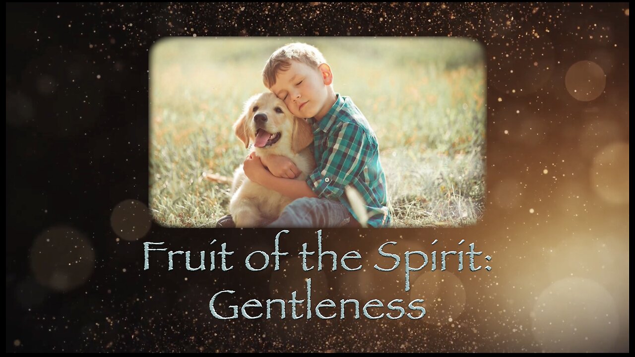 Worship Service | Message: Fruit of the Spirit: Gentleness | John McFarland | 12-14-2024