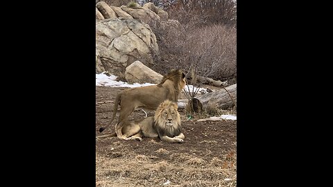 Colorado