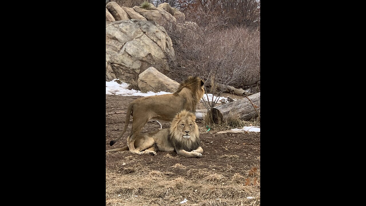 Colorado
