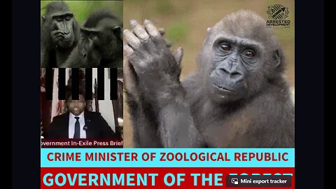 CRIME MINISTER OF ZOOLOGICAL REPUBLIC, GOVERNMENT OF THE FOREST COMMANDER KPAI