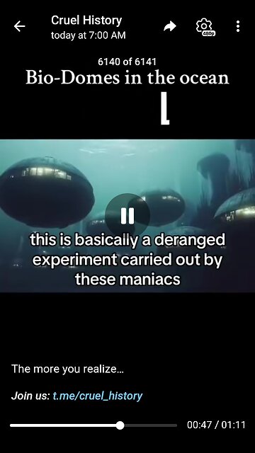 Documentary: Undersea Society