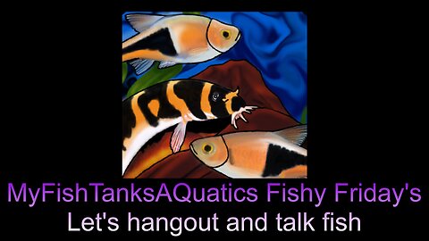 MyFishTanksAQuatics Fish Talk Friday's 01/10/25-2