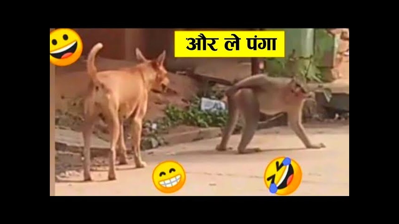 बंदर को उंगली करना भारी पड़ गया ll Monkey funny movement 🤣😂