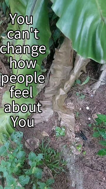 Peeing on a tree on an island (Be Happy Version)