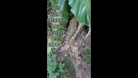 Peeing on a tree on an island (Be Happy Version)