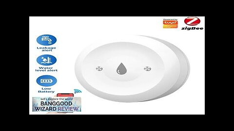 Smart Home Zigbe Water Immersion Sensor Water Leakage Sensor Alarm App Remote Review