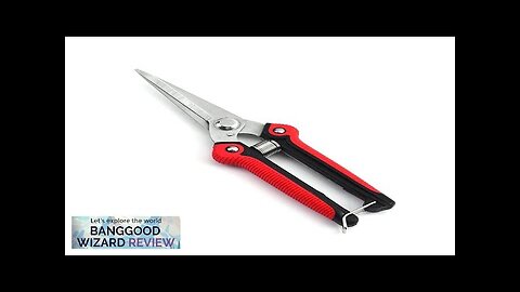 Garden Pruning Shear Straight Blade Shears Stainless Steel Elbow Cut Tools Review