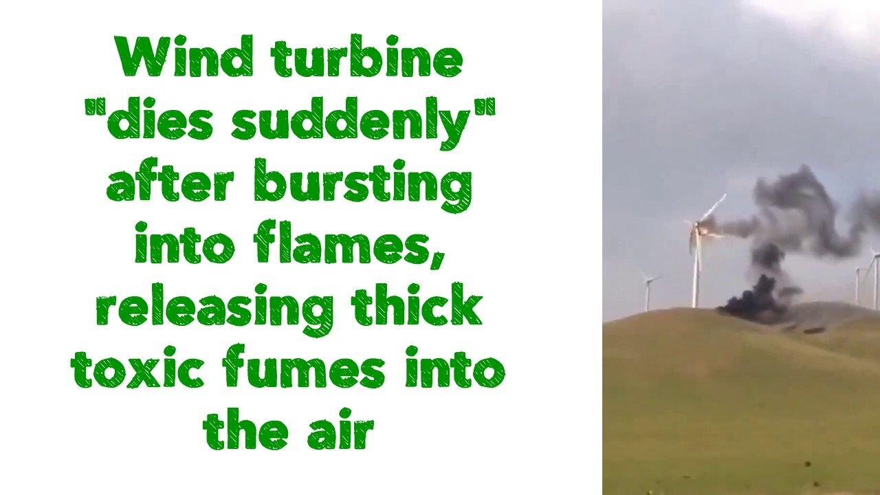 Wind turbine "dies suddenly" after bursting into flames, releasing thick toxic fumes into the air