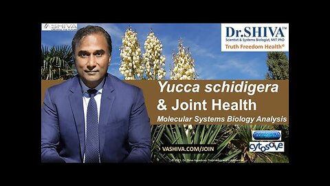 Dr.SHIVA™: Yucca on Joint Health @CytoSolve® Systems Analysis(3/21)
