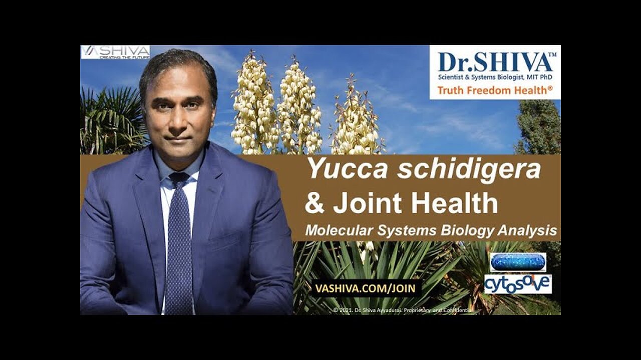 Dr.SHIVA™: Yucca on Joint Health @CytoSolve® Systems Analysis(3/21)