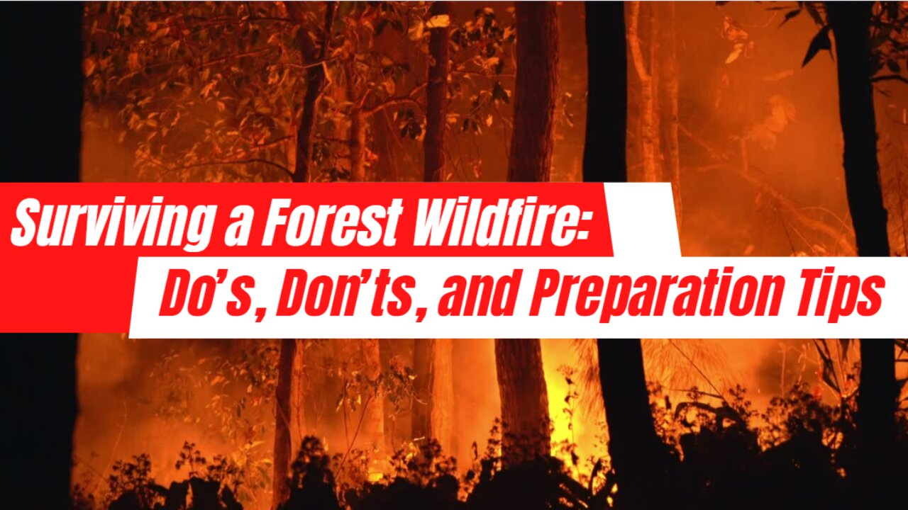 Surviving a Forest Wildfire: Do’s, Don’ts, and Preparation Tips