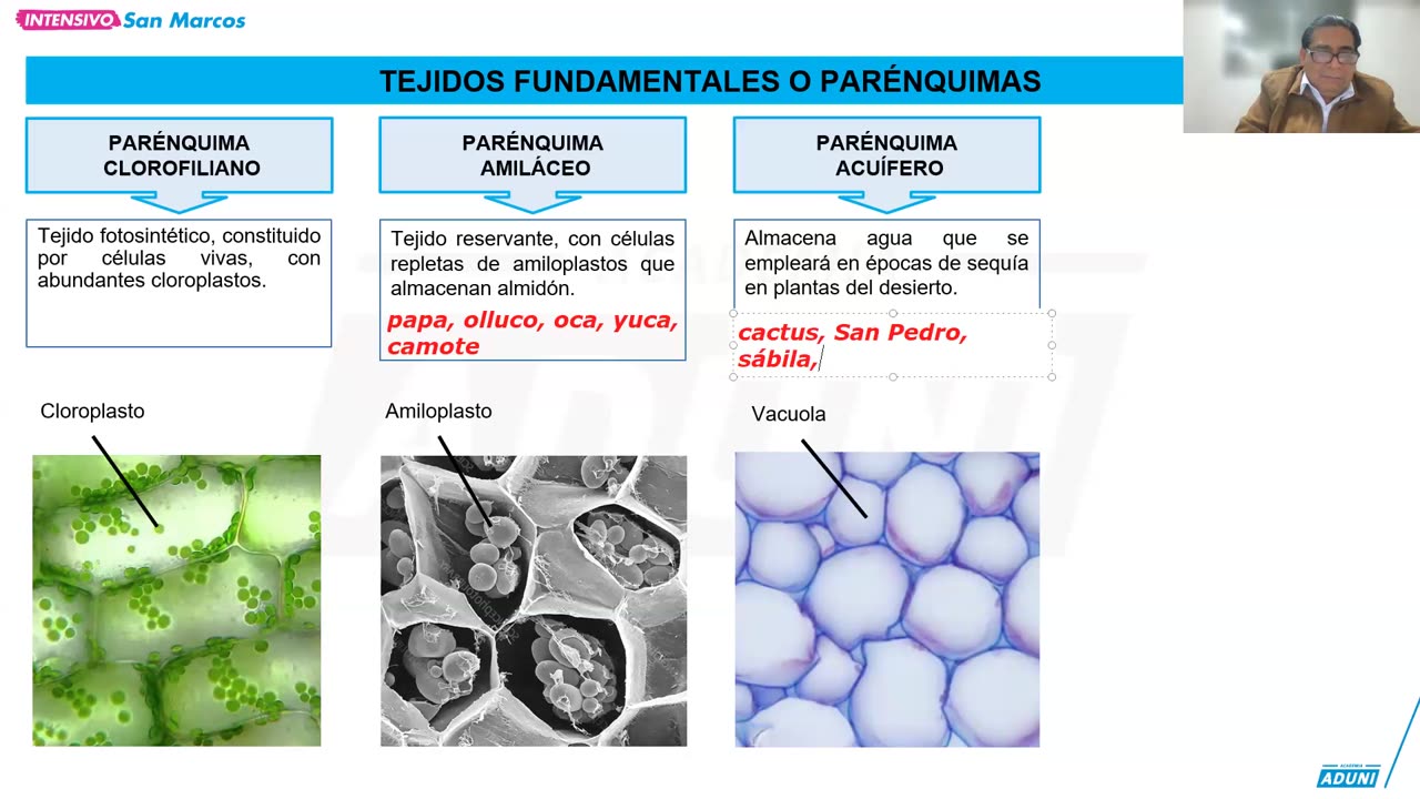 INTENSIVO ADUNI 2024 | Semana 12 | Trigonometría | RV | Biología