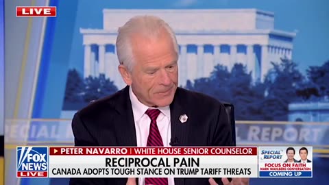 Peter Navarro Has a Messgae for World Leaders Whining About President Donald Trump