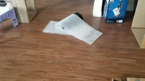 20250108 131925 Tux Bubblewrapped
