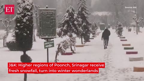 J&K_ Higher regions of Poonch, Srinagar receive fresh snowfall, turn into winter wonderlands