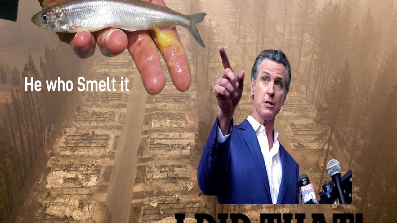 Gavin "smelt" it, hence he dealt it.