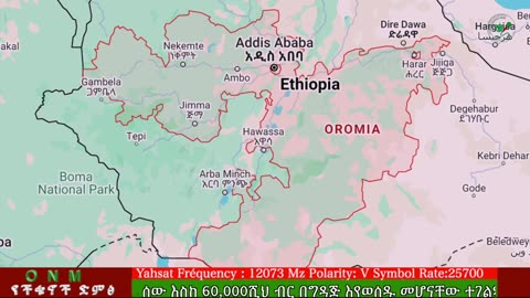 መጋብት 10-2025 ONM-ABO እለታዊ የኦሮሞ ነፃነት ሰራዊትና የኦሮሚያ ውሎ!