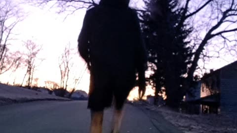 day 2