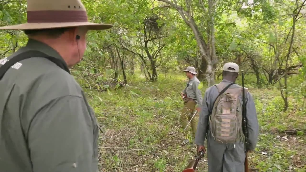 Dugga Boy Hunting in the Jesse in Zimbabwe with Buzz Charlton of Charlton McCallum Safaris