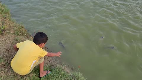 Trying to catch fish