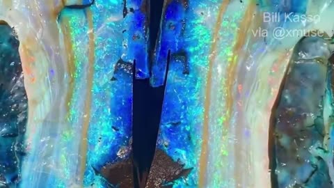 Boulder Opal Beauty is on the inside