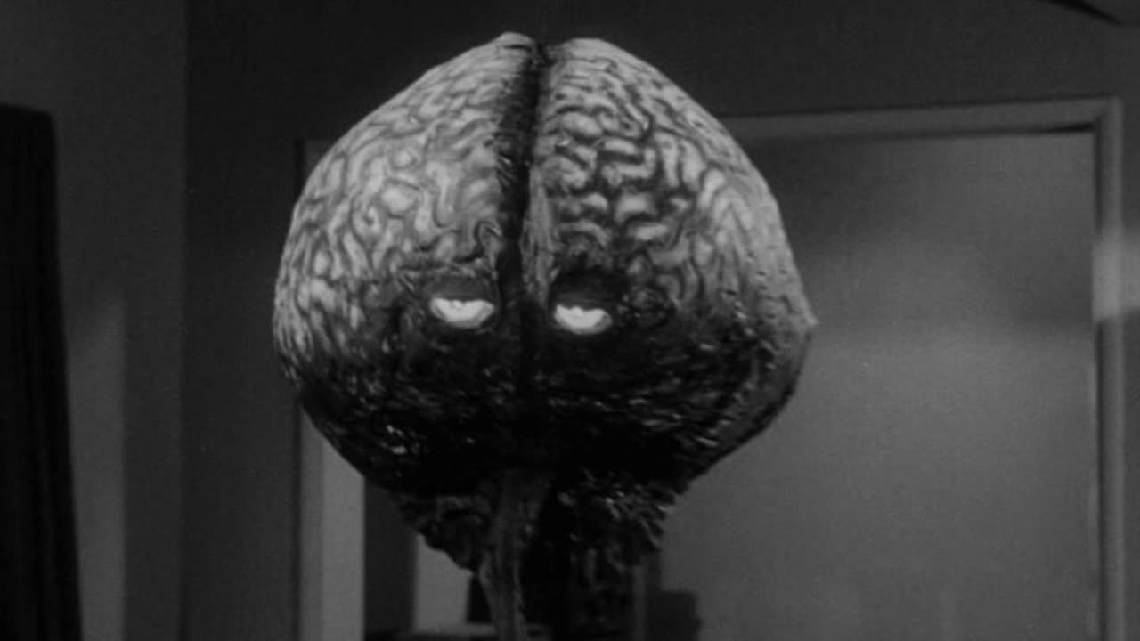Brain and Tissue: Part 1 (2012) | Raymond Peat