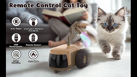 Cat Toys