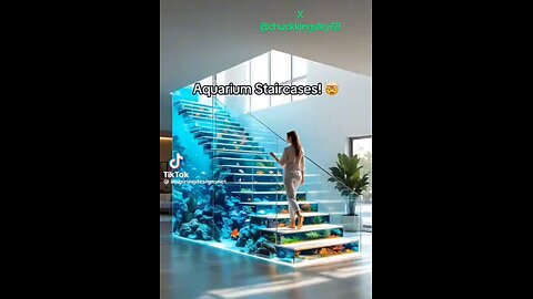 Aquarium Staircase