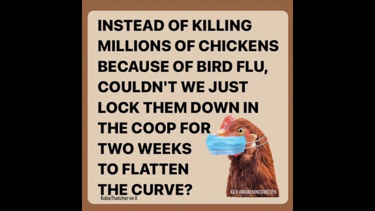 Then they will Blame Trump for the BIRD FLU Hoax