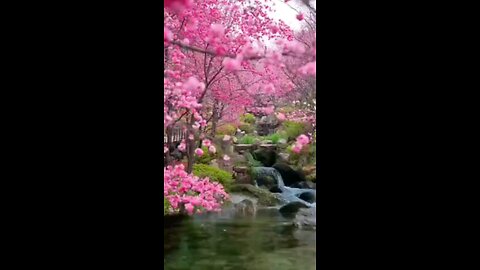 The colorful world of nature: a journey to the wonderland😍🪷🌿🌺😍