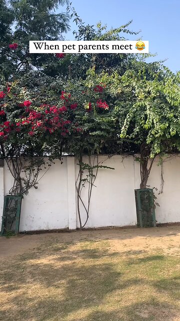 people are running well