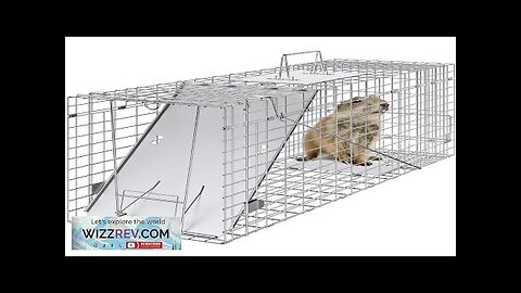 VEVOR Live Animal Cage Trap 31" x 10" x 12" Humane Cat Review