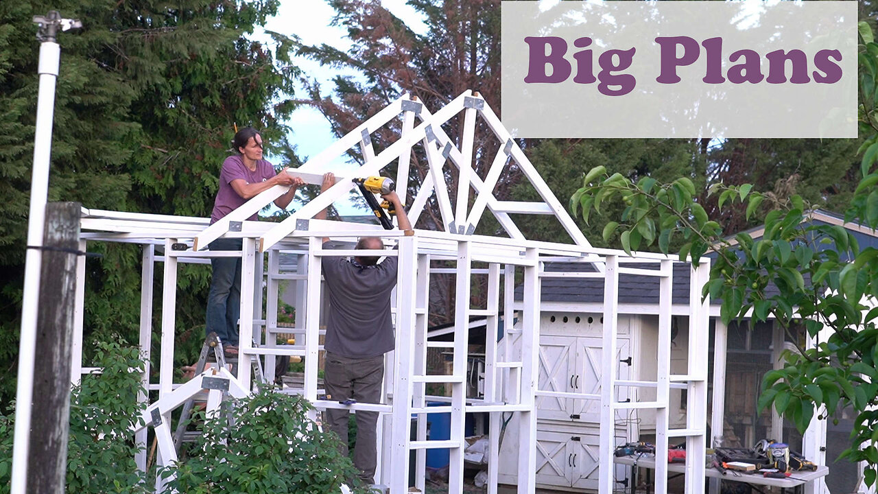 How I Built My Dream Chicken Coop