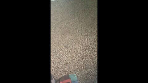 Strange noises