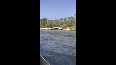 Adventure// Boting // jungle safari
