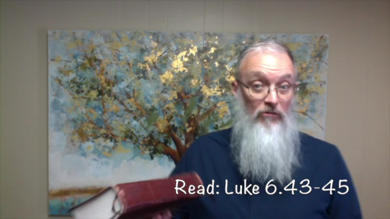 2x4 devotional, “fruit”, February 25, 2025