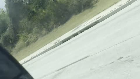 Racing a Tire on the Interstate