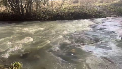 Relaxing Nature