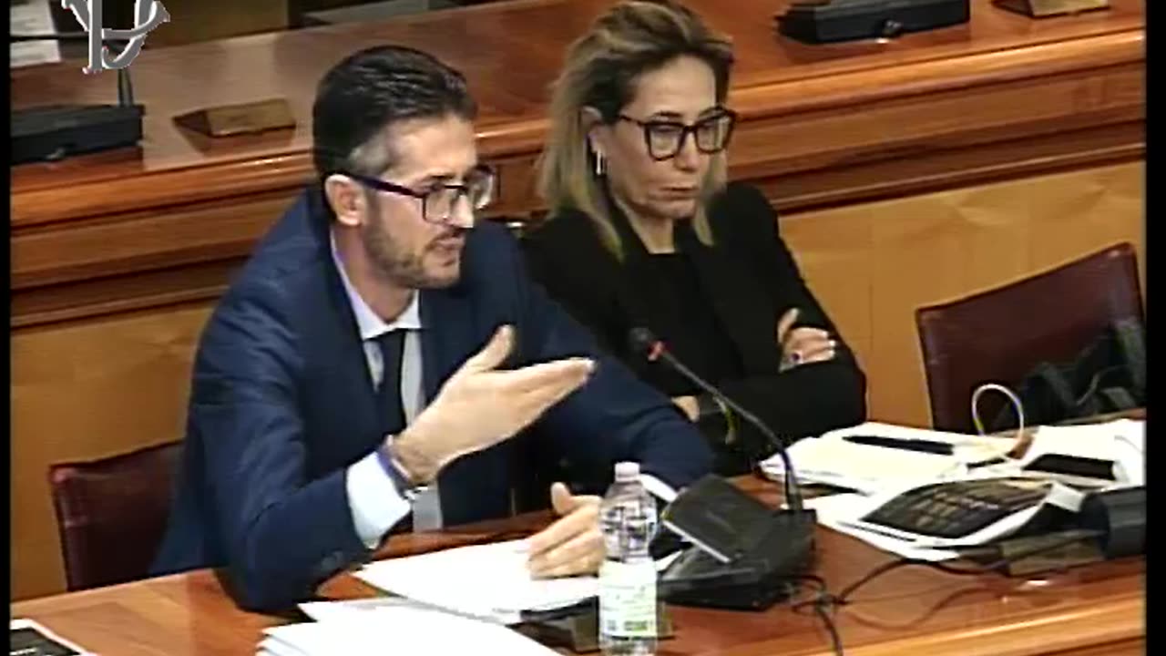 Roma - Stato e criticità ferrovie - Audizione - AD di FS Italiane Spa, Donnarumma (12.02.25)