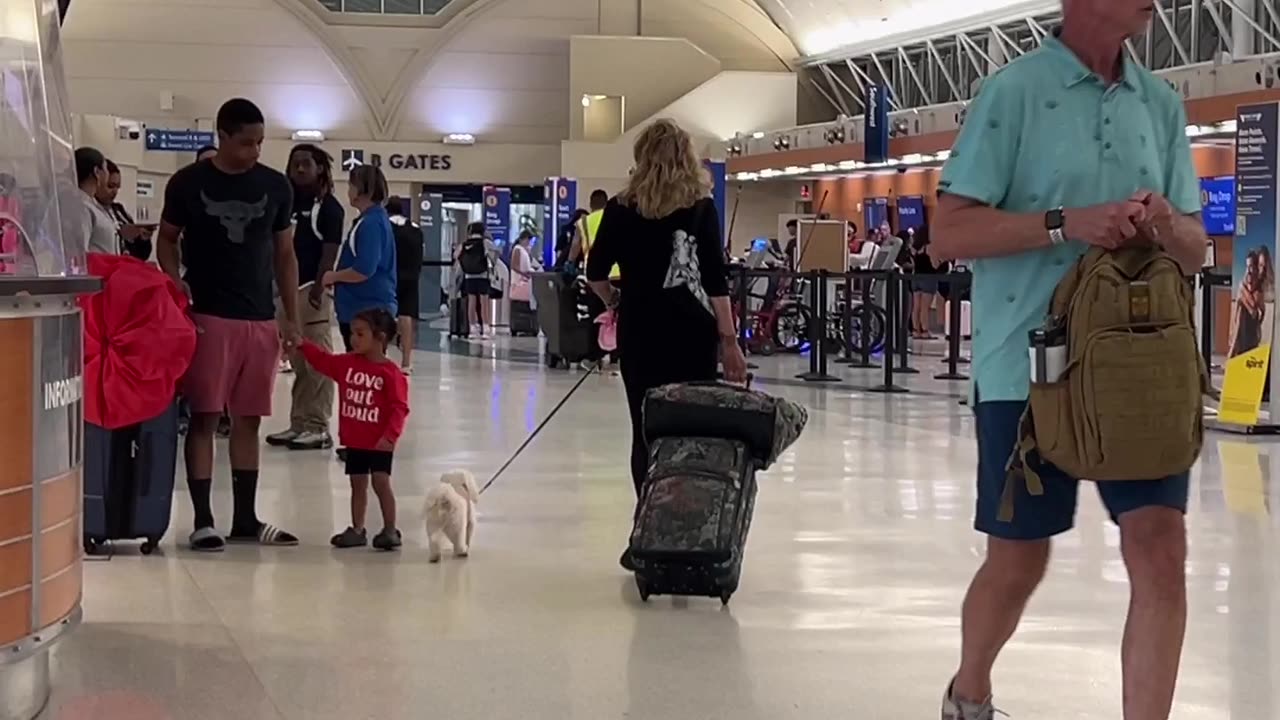 A load of illegals are dumped at the airport to fend for themselves